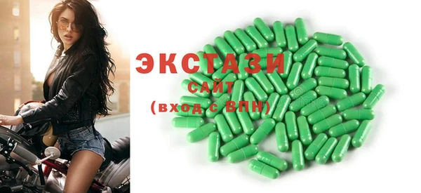 индика Ельня